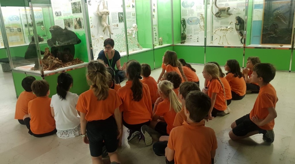 I bambini ascoltano la loro guida al Museo